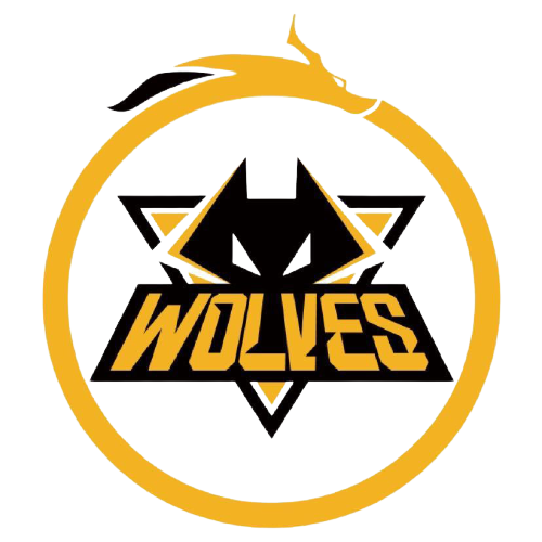 他每天以固 他每天以固