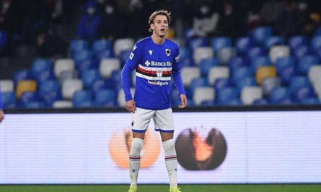 一个抓鸟的 一个抓鸟的