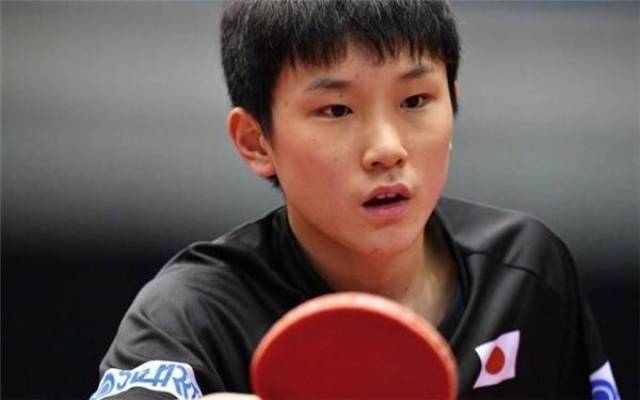 贡献和功能 贡献和功能